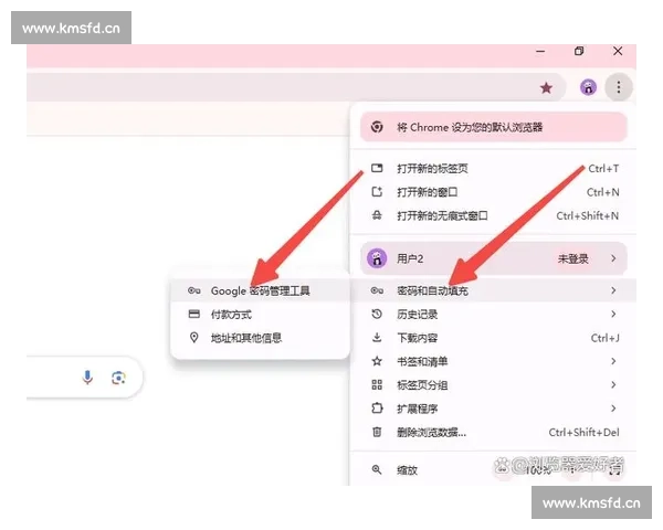 深入探索Chrome浏览器的独特功能与优化技巧,提升浏览体验的实用指南